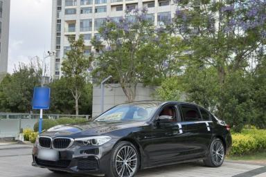 Used BMW 5 Series 2019 Facelifted 530Li Leading Edition M Sport Package