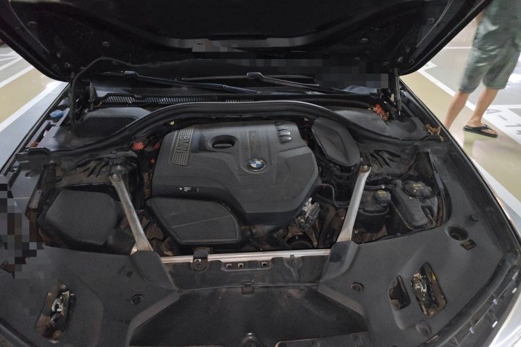 Used BMW 5 Series 2019 Facelifted 530Li Luxury Edition Premium Package Engine Bay
