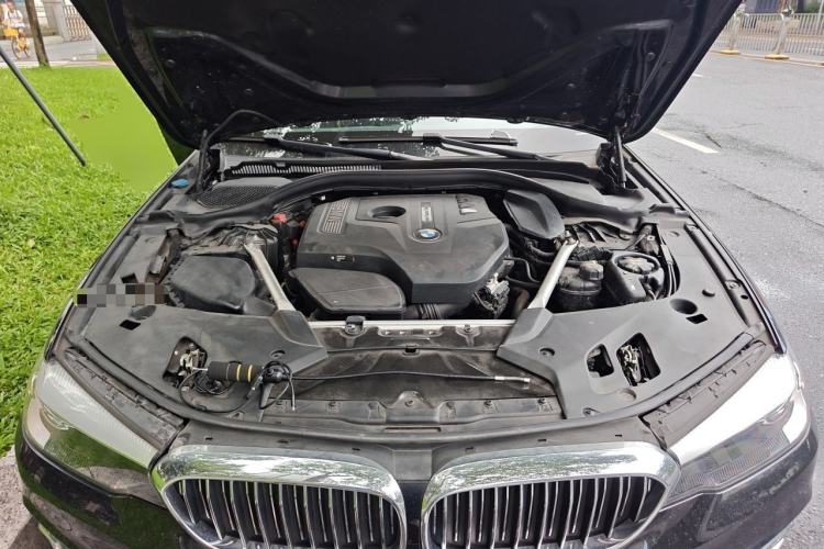Used BMW 5 Series 2019 Facelifted 530Li Leading Edition Luxury Package Engine Bay