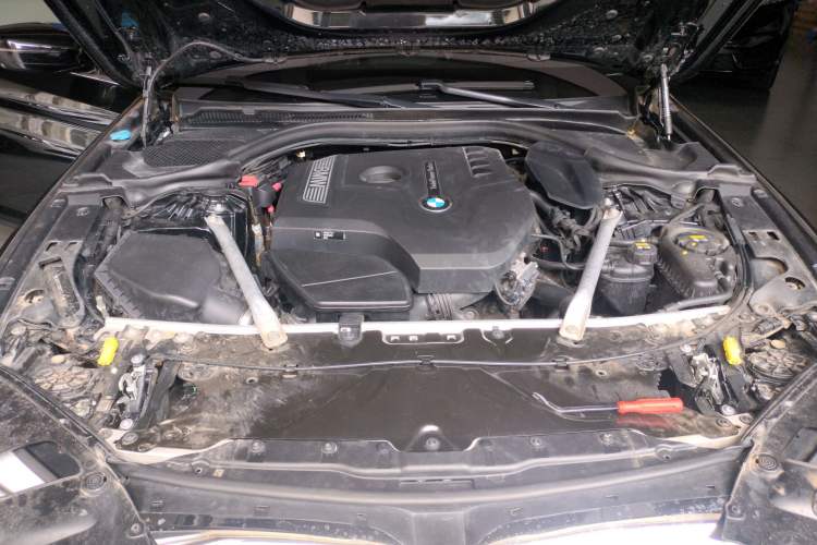 Used BMW 5 Series 2019 Facelifted 530Li Luxury Edition Premium Package Engine Bay