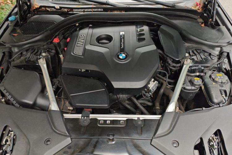 Used BMW 5 Series 2019 Facelifted 530Li Luxury Edition Premium Package Engine Bay