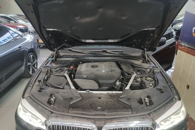Used BMW 5 Series 2019 Facelifted 530Li Luxury Edition Premium Package Engine Bay