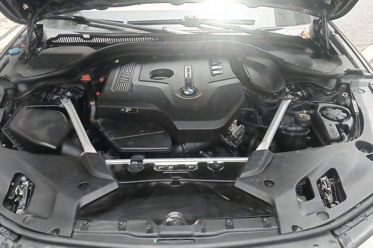 Used BMW 5 Series 2019 Facelifted 530Li Leading Edition Luxury Package Engine Bay