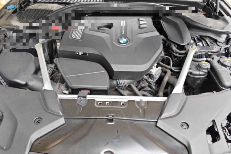 Used BMW 5 Series 2019 530Li Luxury Edition M Sport Package Engine Bay