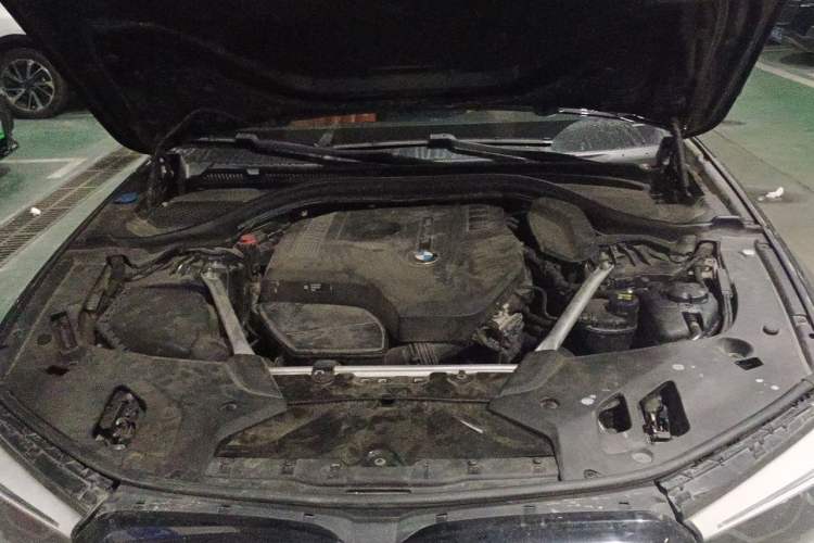 Used BMW 5 Series 2019 530Li Luxury Edition M Sport Package Engine Bay