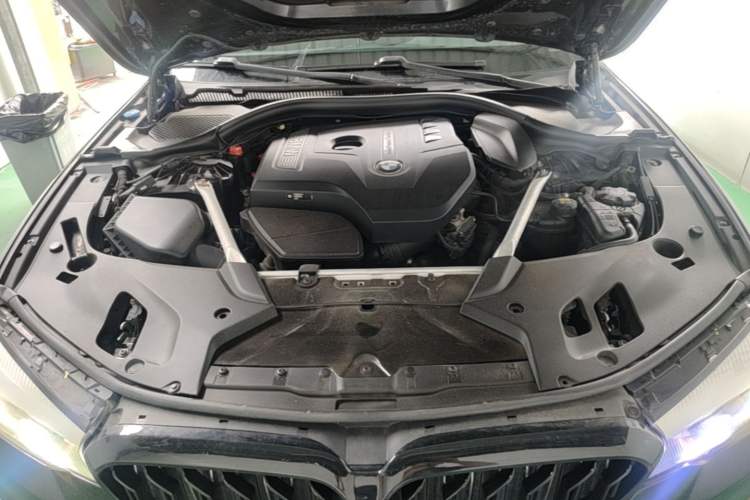 Used BMW 5 Series 2019 530Li Leading Model Luxury Package Engine Bay