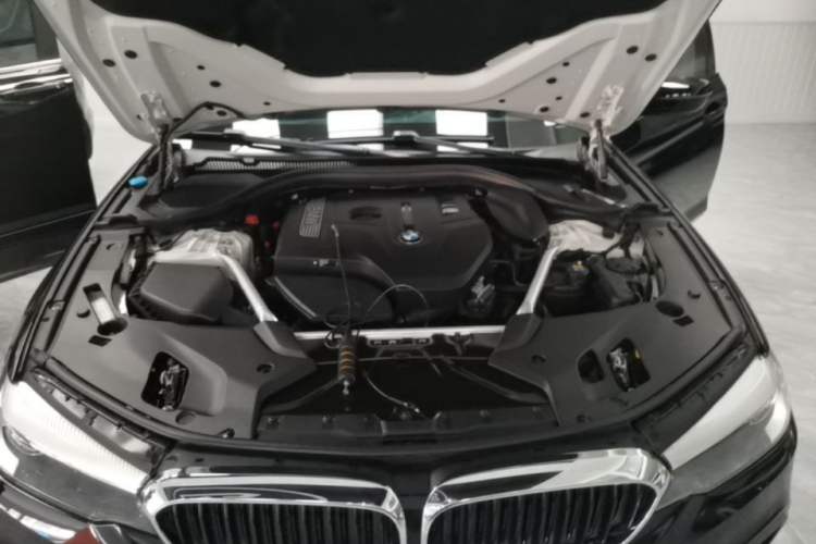Used BMW 5 Series 2019 Facelifted 530Li Leading Edition M Sport Package Engine Bay