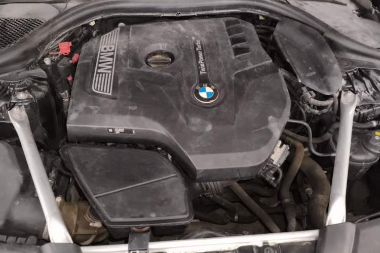 Used BMW 5 Series 2019 530Li Leading Model Luxury Package Engine Bay
