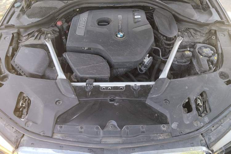 Used BMW 5 Series 2019 Facelifted 525Li Luxury Package Engine Bay