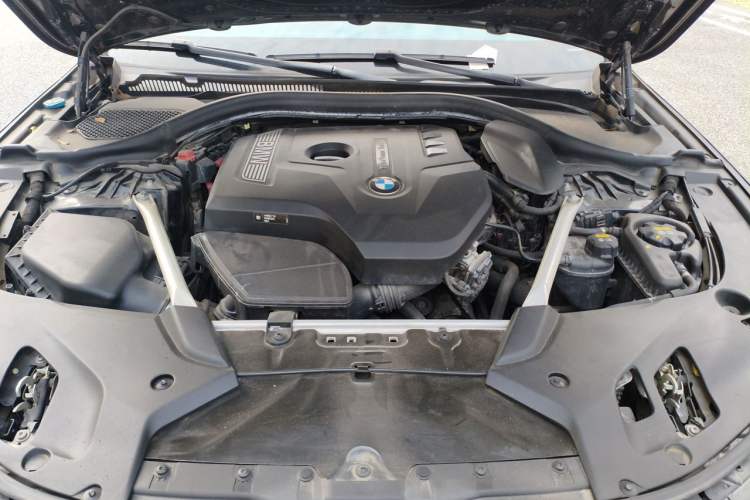 Used BMW 5 Series 2019 Facelifted 530Li Leading Edition M Sport Package Engine Bay
