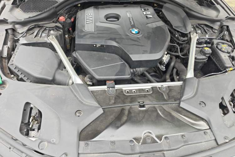 Used BMW 5 Series 2019 530Li Leading Model M Sport Package Engine Bay