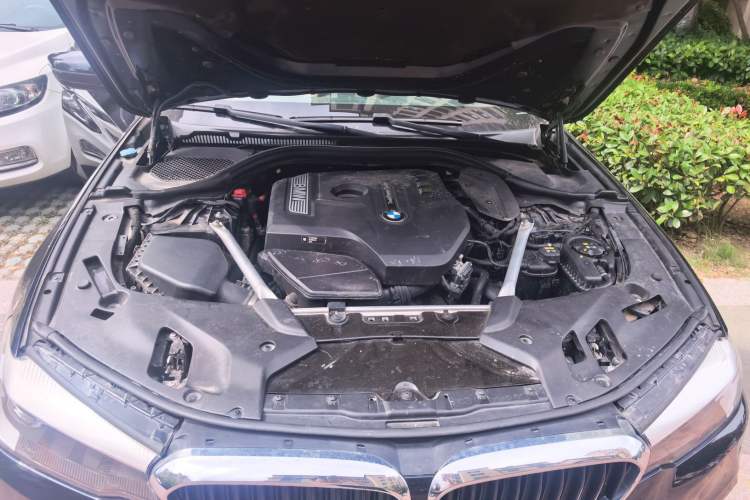 Used BMW 5 Series 2019 530Li Leading Model M Sport Package Engine Bay