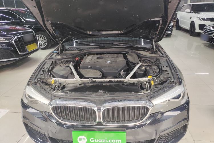 Used BMW 5 Series 2019 Facelifted 530Li Leading Edition M Sport Package Engine Bay