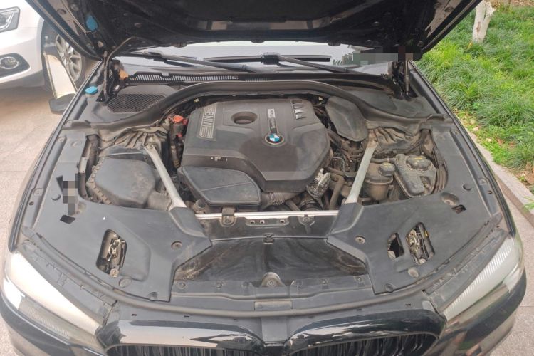 Used BMW 5 Series 2019 Facelifted 530Li Leading Edition M Sport Package Engine Bay