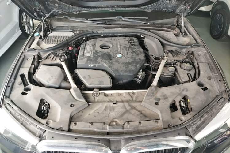 Used BMW 5 Series 2019 Facelifted 530Li Leading Edition M Sport Package Engine Bay