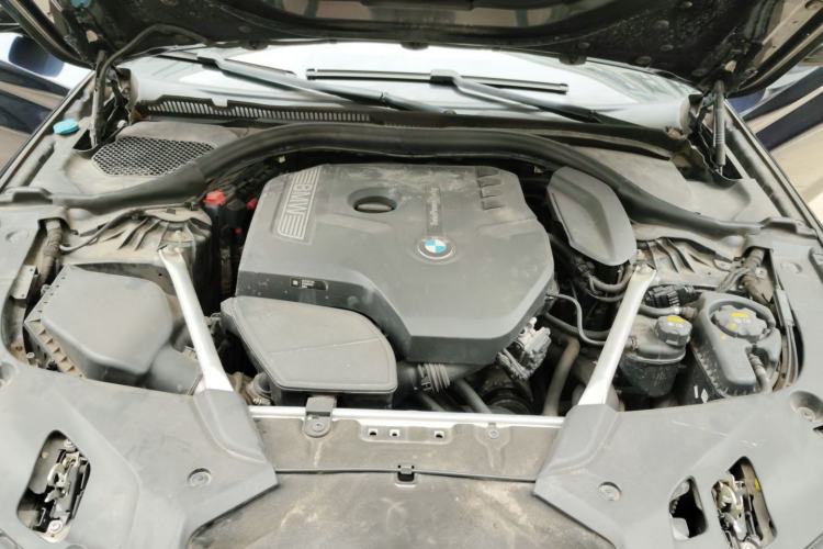 Used BMW 5 Series 2019 Restyled 530Li Luxury Edition M Sport Package Engine Bay