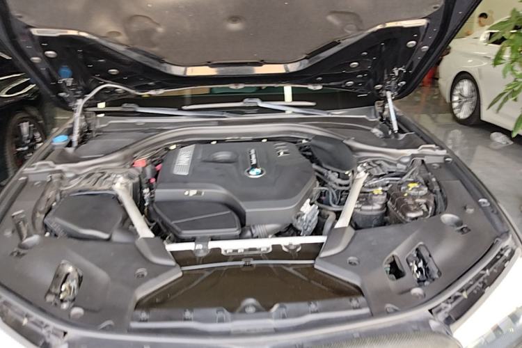 Used BMW 5 Series 2019 530Li Leading Model M Sport Package Engine Bay