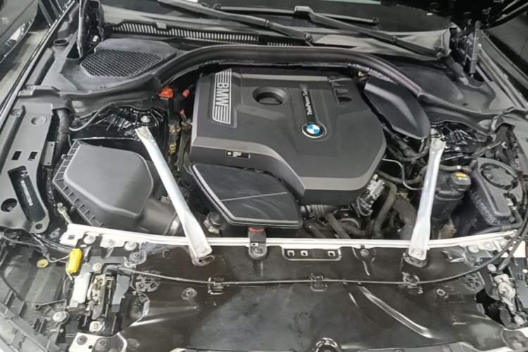 Used BMW 5 Series 2019 Facelifted 530Li Leading Edition M Sport Package Engine Bay