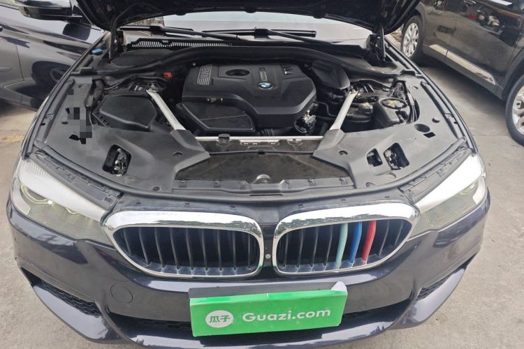 Used BMW 5 Series 2019 530Li xDrive M Sport Package Engine Bay