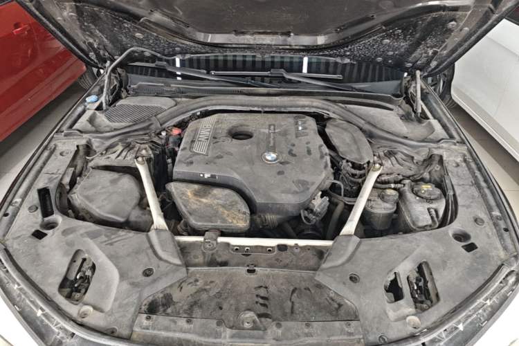 Used BMW 5 Series 2019 525Li M Sport Package Engine Bay