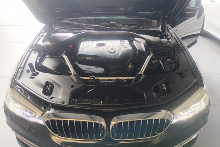 Used BMW 5 Series 2019 Facelifted 530Li Luxury Edition Premium Package Engine Bay
