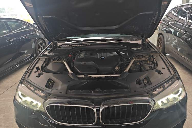 Used BMW 5 Series 2019 Facelifted 530Li Leading Edition M Sport Package Engine Bay
