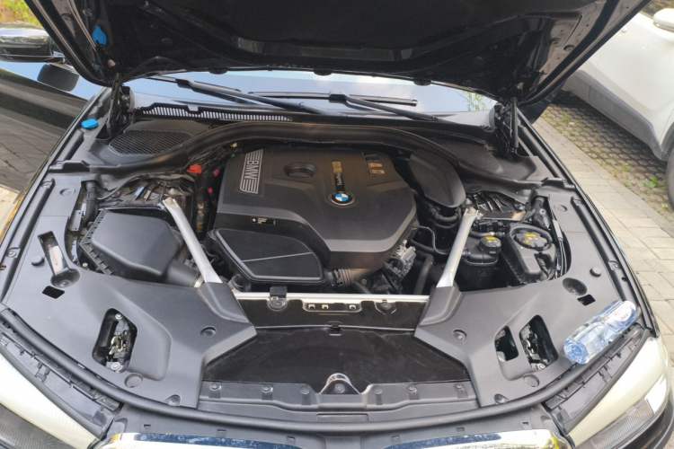 Used BMW 5 Series 2019 530Li Leading Model Luxury Package Engine Bay