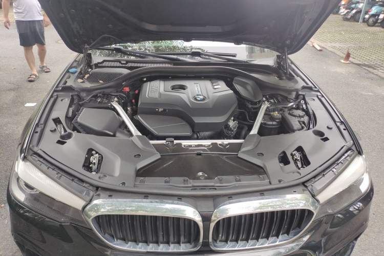 Used BMW 5 Series 2019 Facelifted 530Li Leading Edition M Sport Package Engine Bay