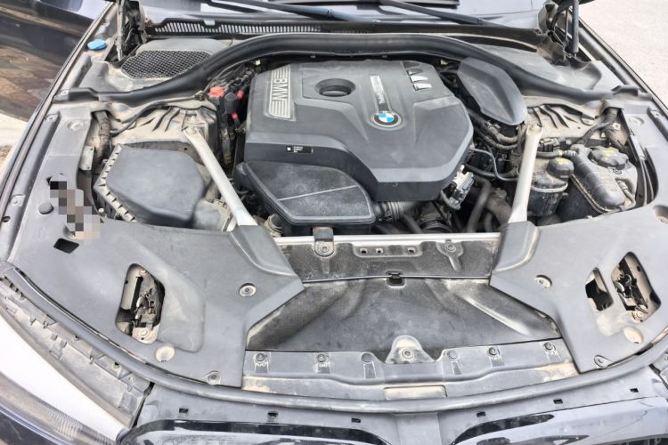 Used BMW 5 Series 2019 525Li M Sport Package Engine Bay
