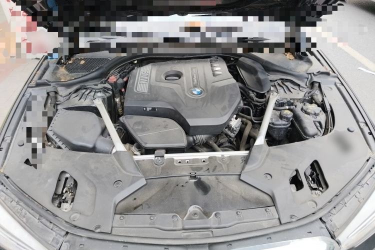 Used BMW 5 Series 2019 530Li Luxury Edition M Sport Package Engine Bay