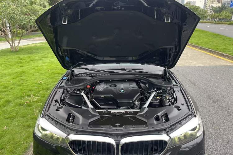 Used BMW 5 Series 2019 530Li Leading Model M Sport Package Engine Bay