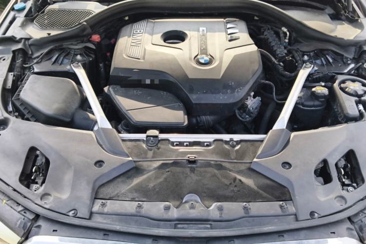 Used BMW 5 Series 2019 530Li Leading Model M Sport Package Engine Bay