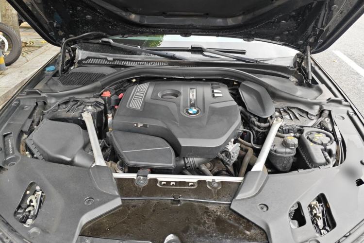 Used BMW 5 Series 2019 Facelifted 530Li Leading Edition M Sport Package Engine Bay