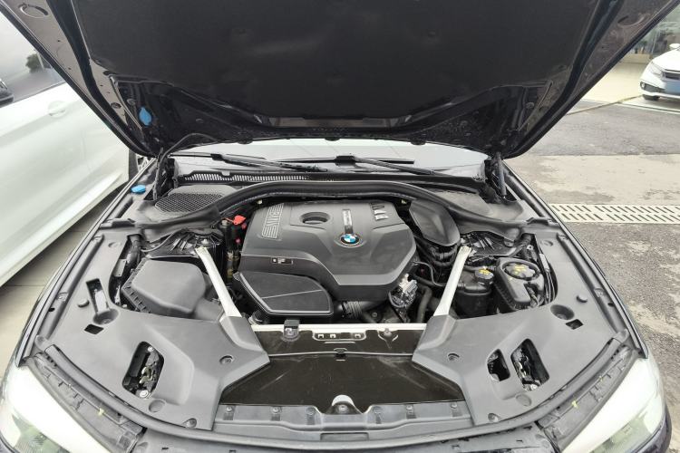 Used BMW 5 Series 2019 530Li Leading Model M Sport Package Engine Bay