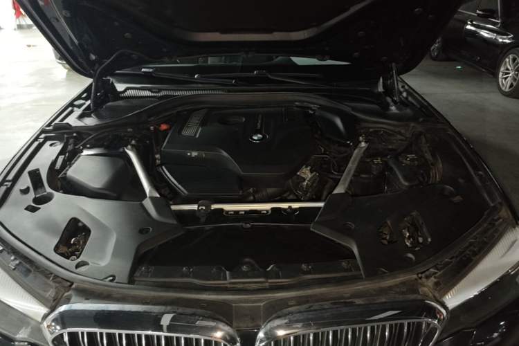 Used BMW 5 Series 2019 530Li xDrive Luxury Package Engine Bay