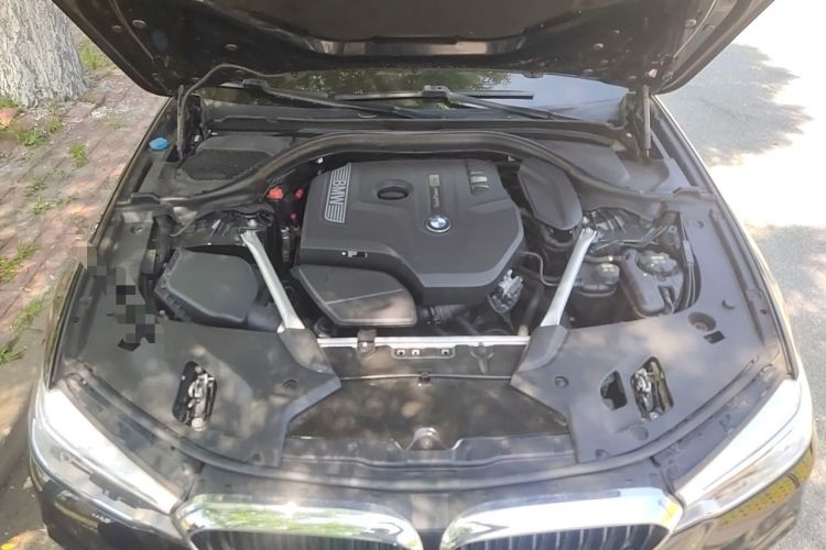 Used BMW 5 Series 2019 Restyled 530Li Luxury Edition M Sport Package Engine Bay