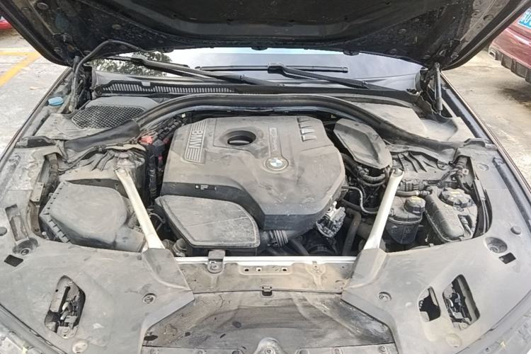 Used BMW 5 Series 2019 530Li Leading Model Luxury Package Engine Bay