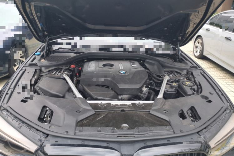 Used BMW 5 Series 2019 530Li Luxury Edition M Sport Package Engine Bay