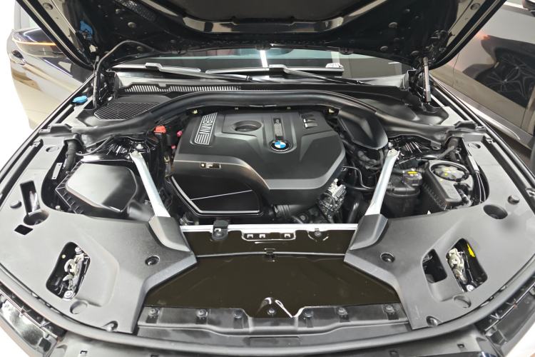 Used BMW 5 Series 2019 Facelifted 530Li Leading Edition M Sport Package Engine Bay