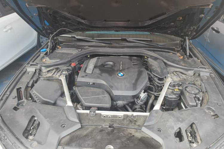 Used BMW 5 Series 2019 530Li Leading Model Luxury Package Engine Bay
