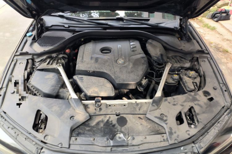 Used BMW 5 Series 2019 530Li Leading Model M Sport Package Engine Bay