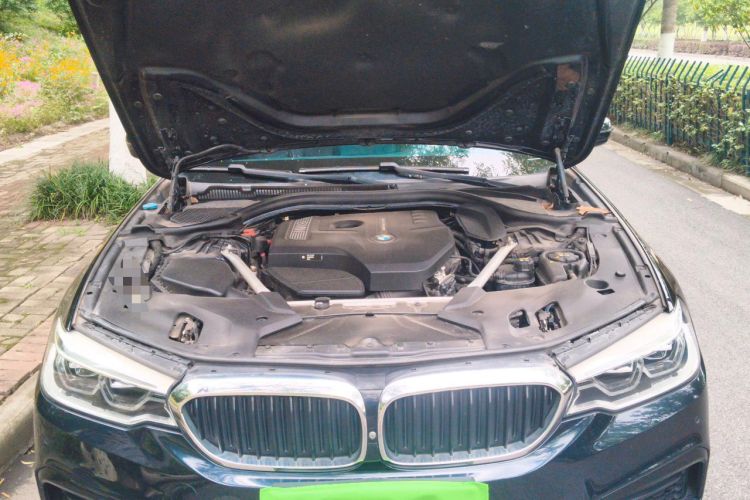 Used BMW 5 Series 2019 530Li Luxury Edition M Sport Package Engine Bay
