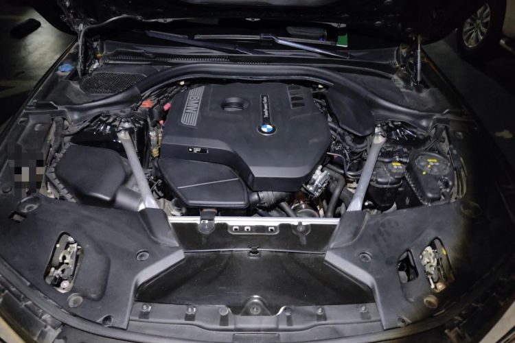 Used BMW 5 Series 2019 Facelifted 530Li Luxury Edition Premium Package Engine Bay