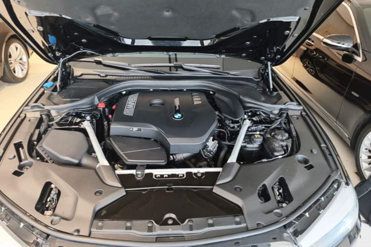 Used BMW 5 Series 2019 530Li Leading Model Luxury Package Engine Bay
