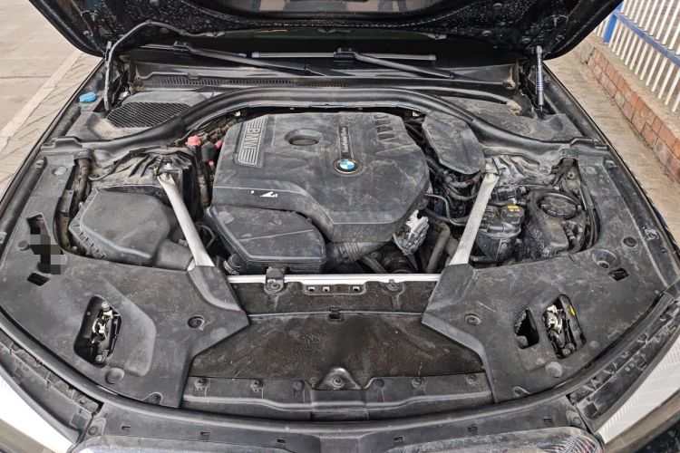 Used BMW 5 Series 2019 Facelifted 530Li xDrive M Sport Package Engine Bay