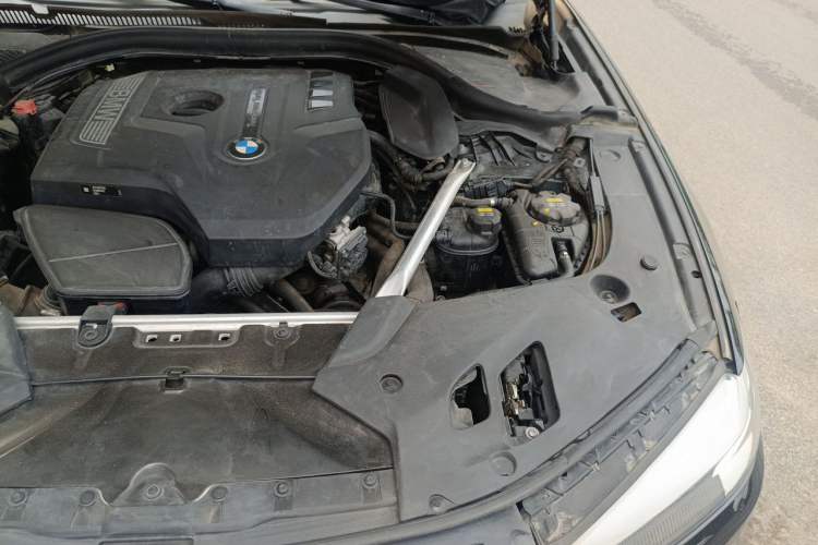 Used BMW 5 Series 2019 525Li Luxury Package Engine Bay Left