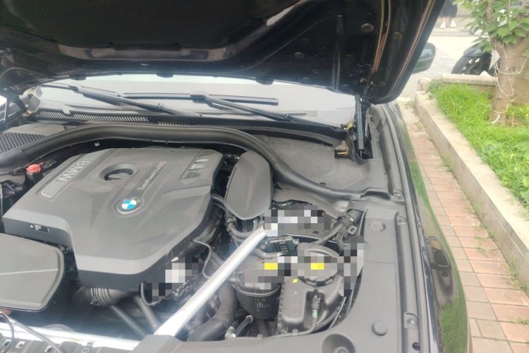 Used BMW 5 Series 2019 530Li Luxury Edition M Sport Package Engine Bay Left
