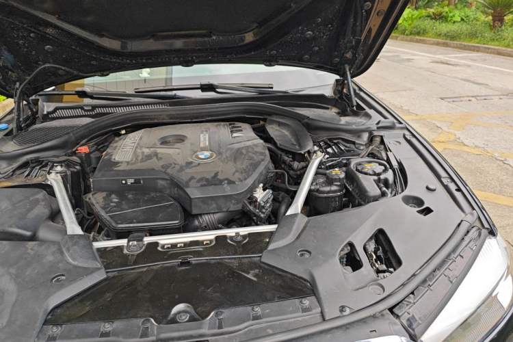 Used BMW 5 Series 2019 530Li Leading Model Luxury Package Engine Bay Left