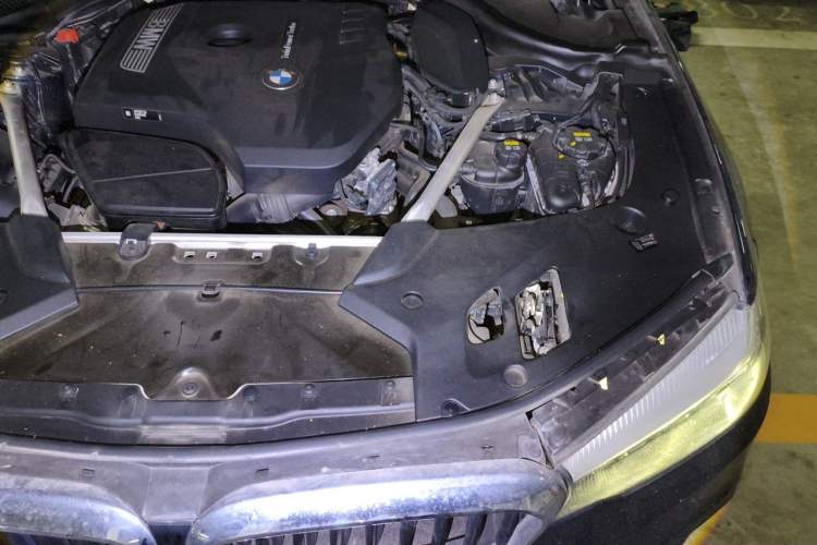 Used BMW 5 Series 2019 Facelifted 530Li Leading Edition M Sport Package Engine Bay Left