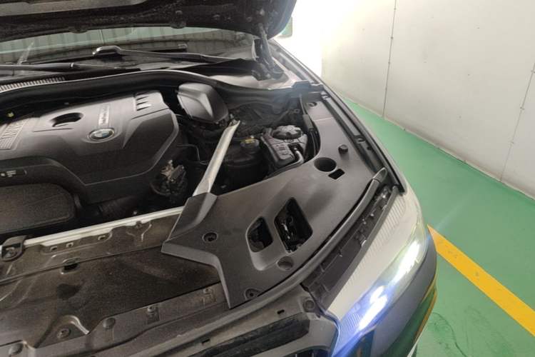 Used BMW 5 Series 2019 530Li Leading Model Luxury Package Engine Bay Left